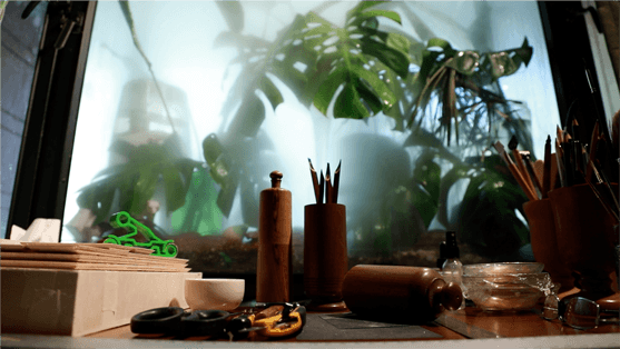 Education gallery image 31